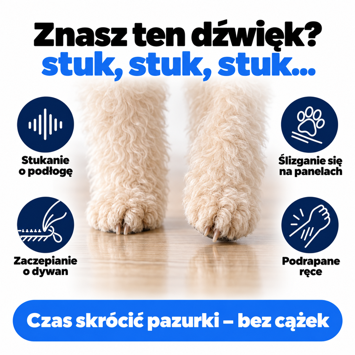 ZDRAPNIJ - mata do pazurów dla psa