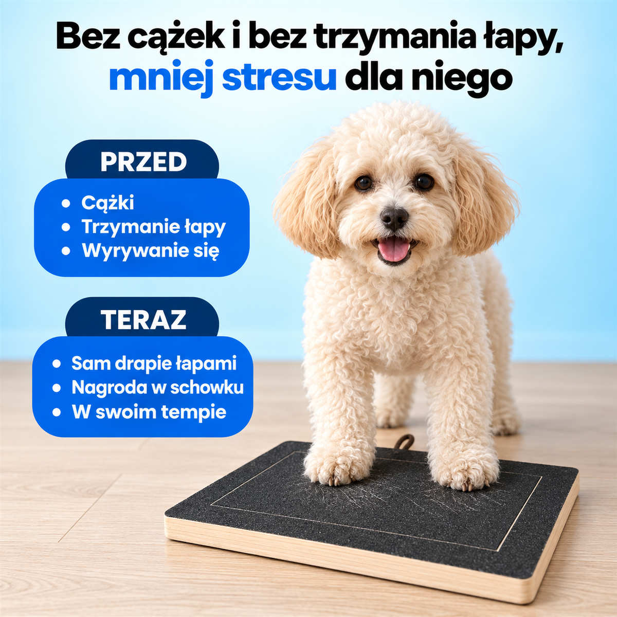 ZDRAPNIJ - mata do pazurów dla psa