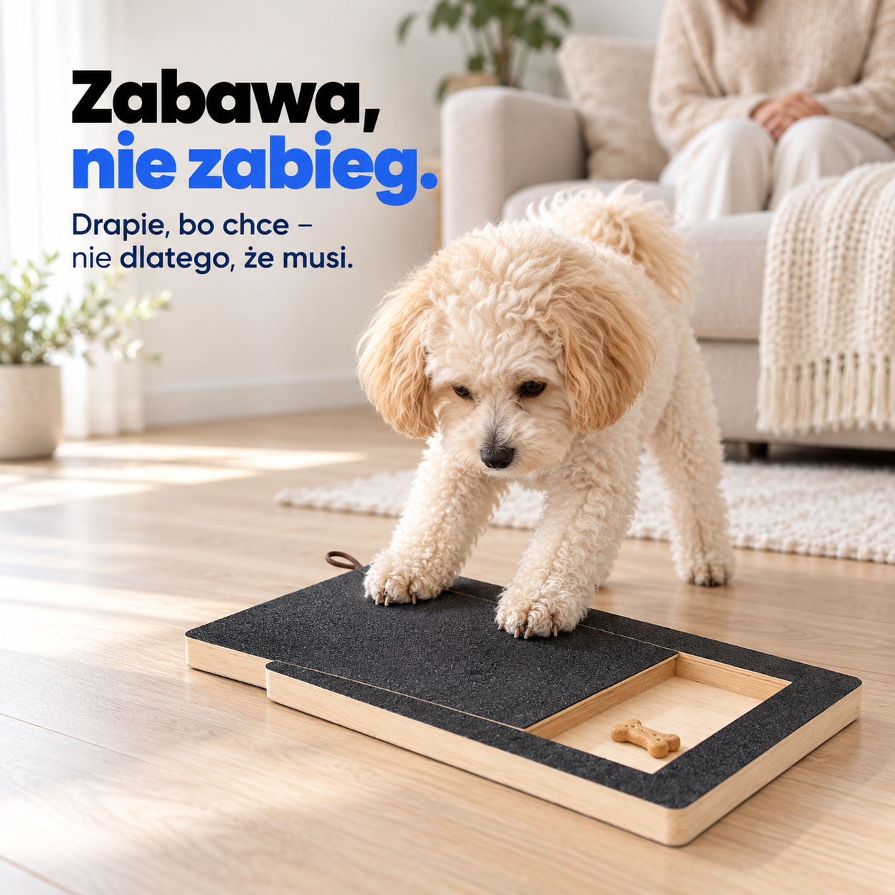 Pies korzystający z maty ZDRAPNIJ w jasnym salonie.